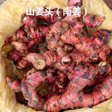 南姜大量上市，欢迎老板咨询