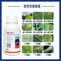 诺普信云卫玉米地除草专用剂苯唑草酮玉米苗后专用除草剂杂草