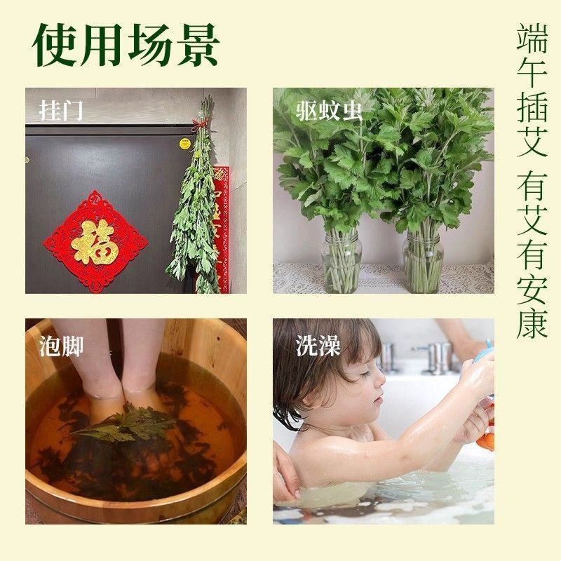 南阳大艾端午艾插门艾