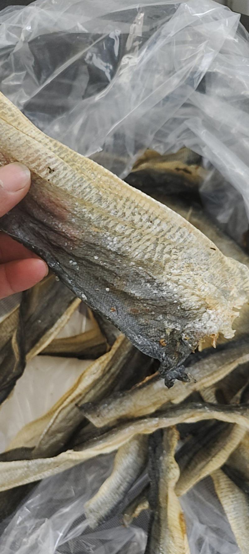 干鱼皮