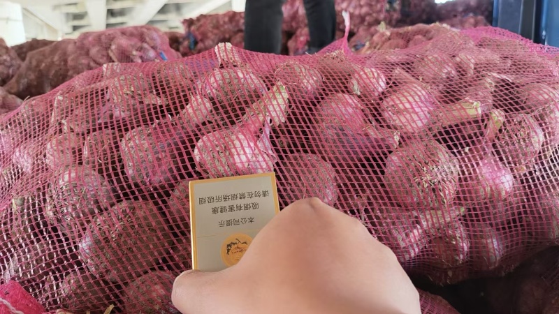 精品大蒜紫皮蒜一手货源对接电商市场商超量大价优，