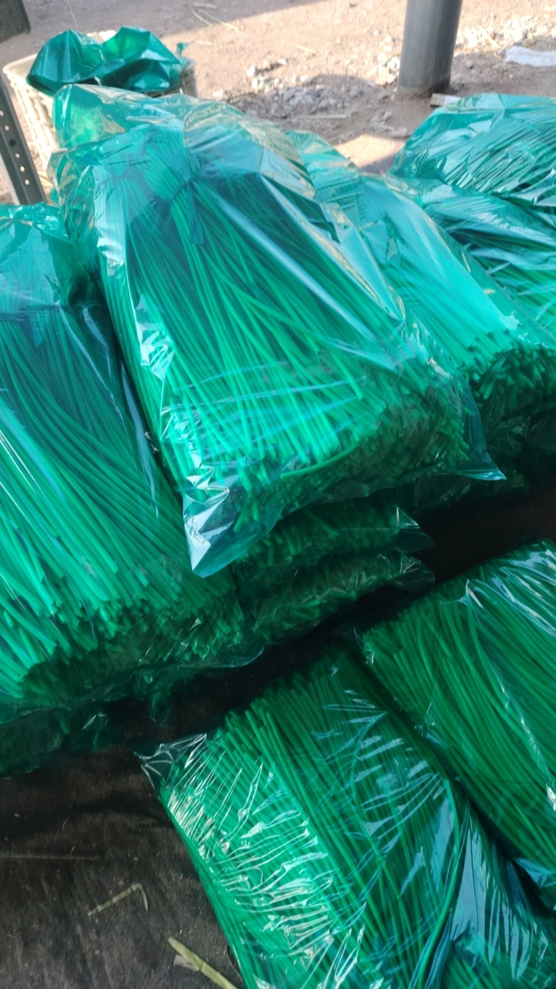 精品蒜苔继续接单价格美丽承接社区团购市场档口超市电商平台