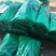 精品蒜苔继续接单价格美丽承接社区团购市场档口超市电商平台