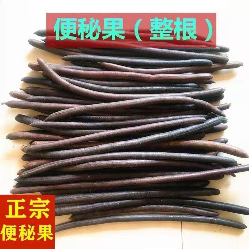 新果便秘果天然腊肠果大解果切断新采摘藤条泡水专用通用排便