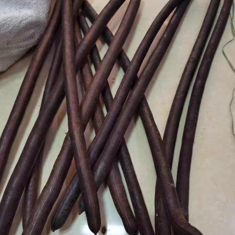 新果便秘果天然腊肠果大解果切断新采摘藤条泡水专用通用排便