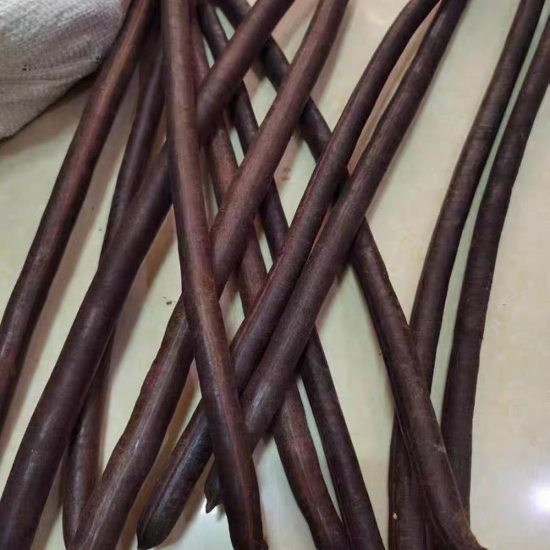新果便秘果天然腊肠果大解果切断新采摘藤条泡水专用通用排便