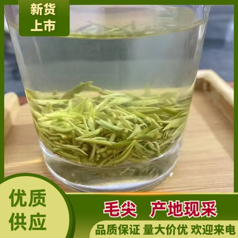 毛尖，手工鲜叶采摘，诚信经营，品质保证，欢迎各位老板咨询