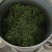 毛尖，手工鲜叶采摘，诚信经营，品质保证，欢迎各位老板咨询