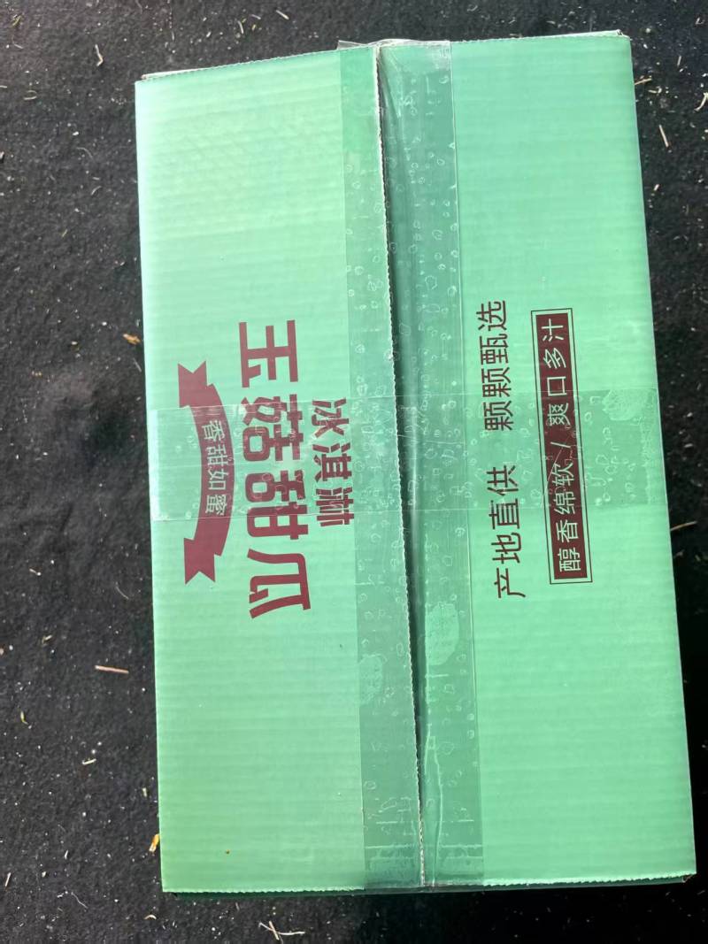 精品玉菇甜瓜，大量现货，社区团购，一件代发