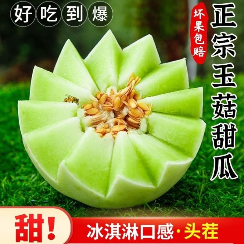 优选玉菇甜瓜，产地一手货源，对接社区团购，一件代发