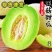 优选玉菇甜瓜，产地一手货源，对接社区团购，一件代发