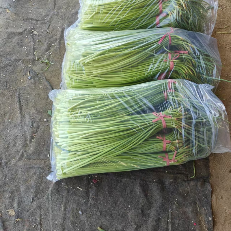 红帽蒜苔继续接单价格美丽承接社区团购市场档口超市电商平台
