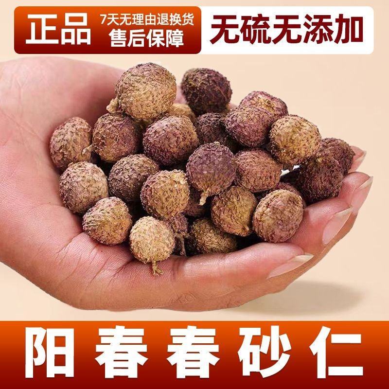 阳春砂仁春砂仁春沙仁特产中药材煲汤泡茶正宗
