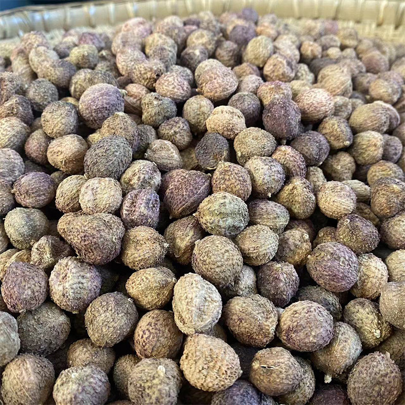 阳春砂仁春砂仁春沙仁特产中药材煲汤泡茶正宗