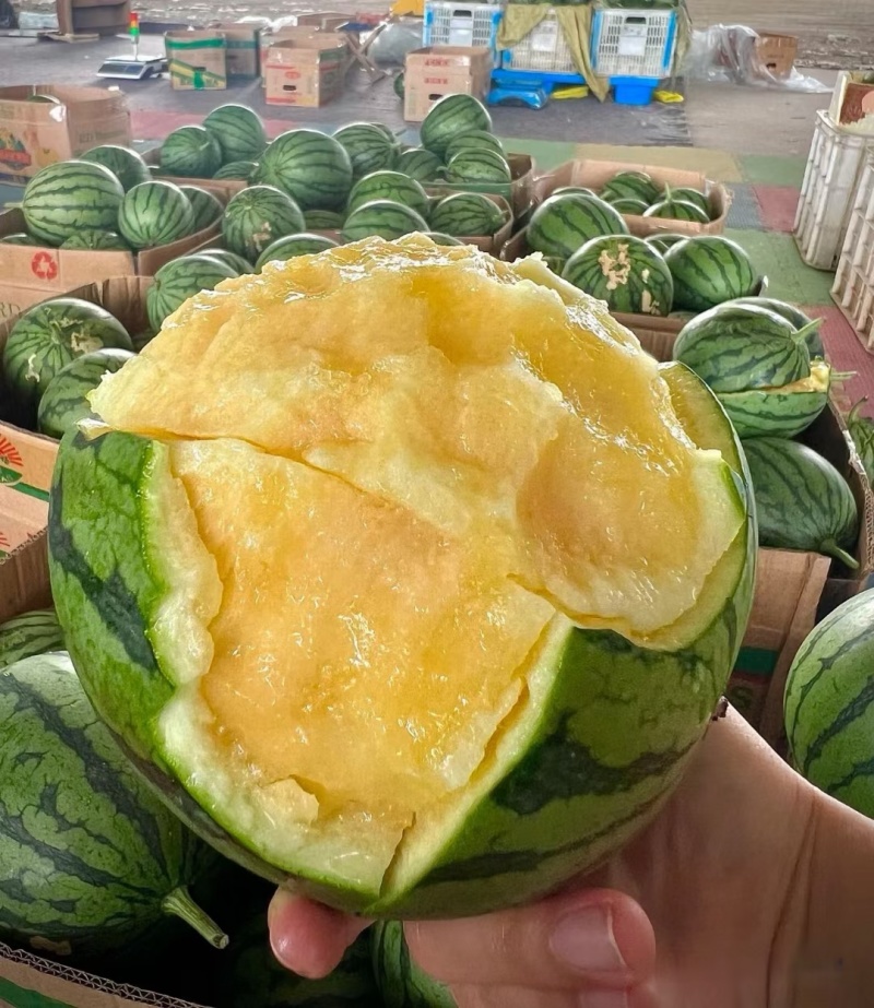 东台特小凤西瓜，东台特小凤西瓜产地对接，质保价优全国发货