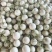 东台玉菇甜瓜大量上市保熟保甜，耐运输产地直供全国发货