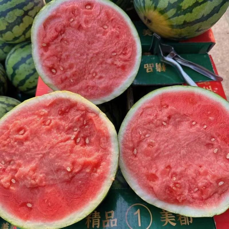 【品质保障】湖北无籽美都8424麒麟西瓜量大优惠对接全国