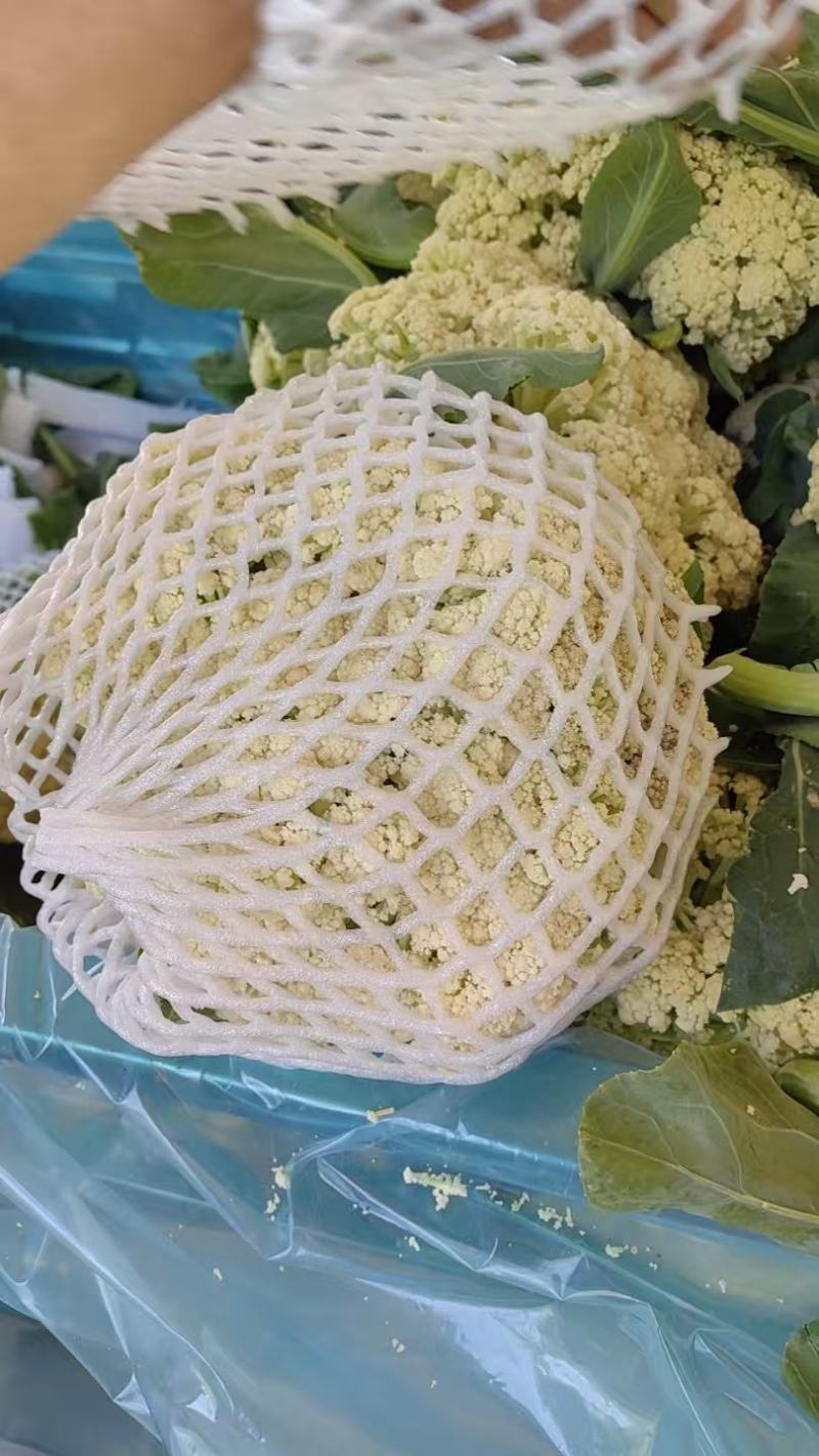 山东花菜量大优惠品质保障对接全国欢迎来电