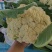 山东花菜量大优惠品质保障对接全国欢迎来电