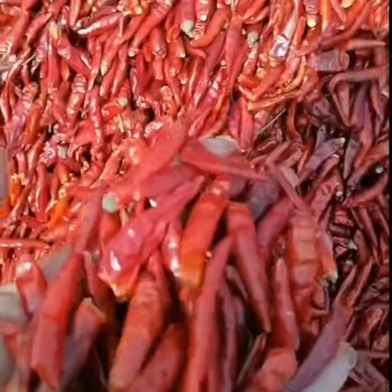 新一代红干辣椒沈阳基地直发质量保证规格齐全欢迎订购