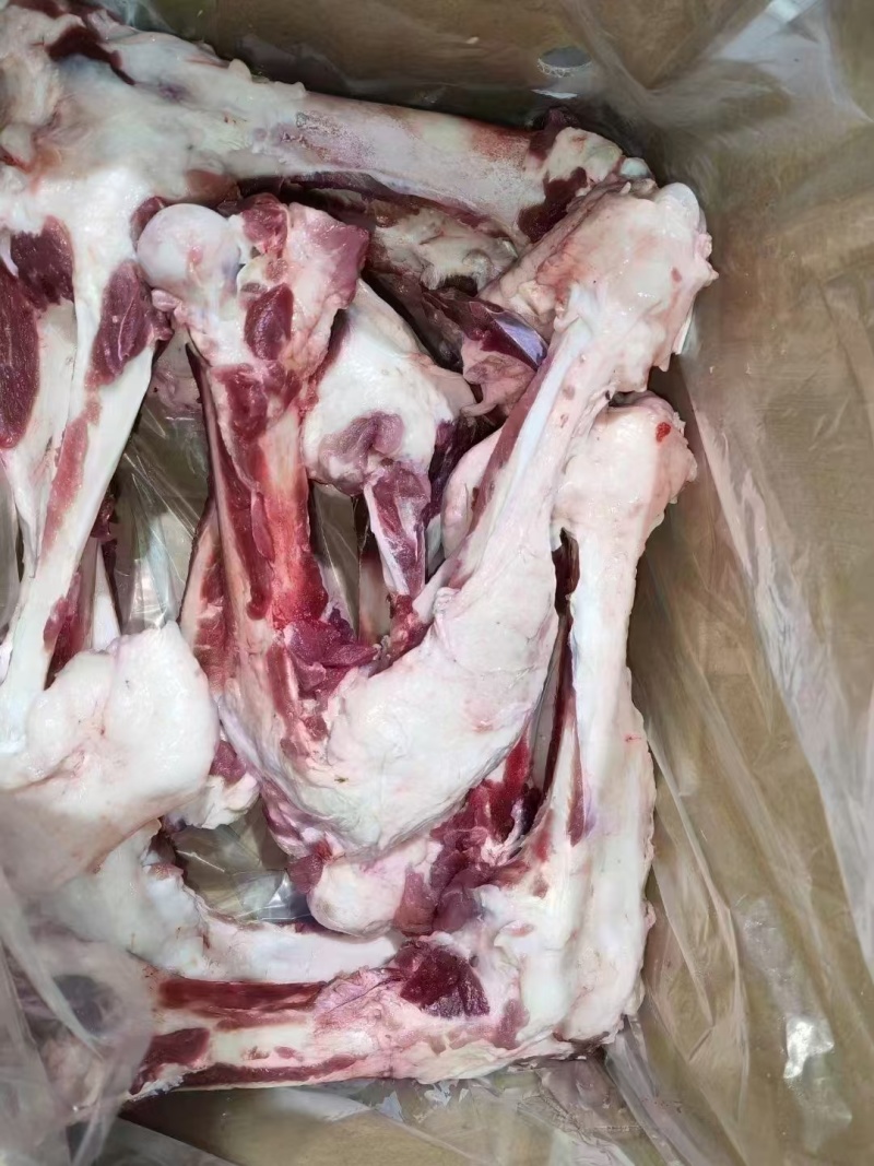 母猪前后腿骨，熬汤专用