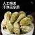 辛夷花泡水正品精选新货去梗手选大花毛桃香料木笔花泡茶泡水