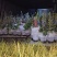 花镜花境植物品种全规格齐货量大自家花圃全国接单可以搭配定制