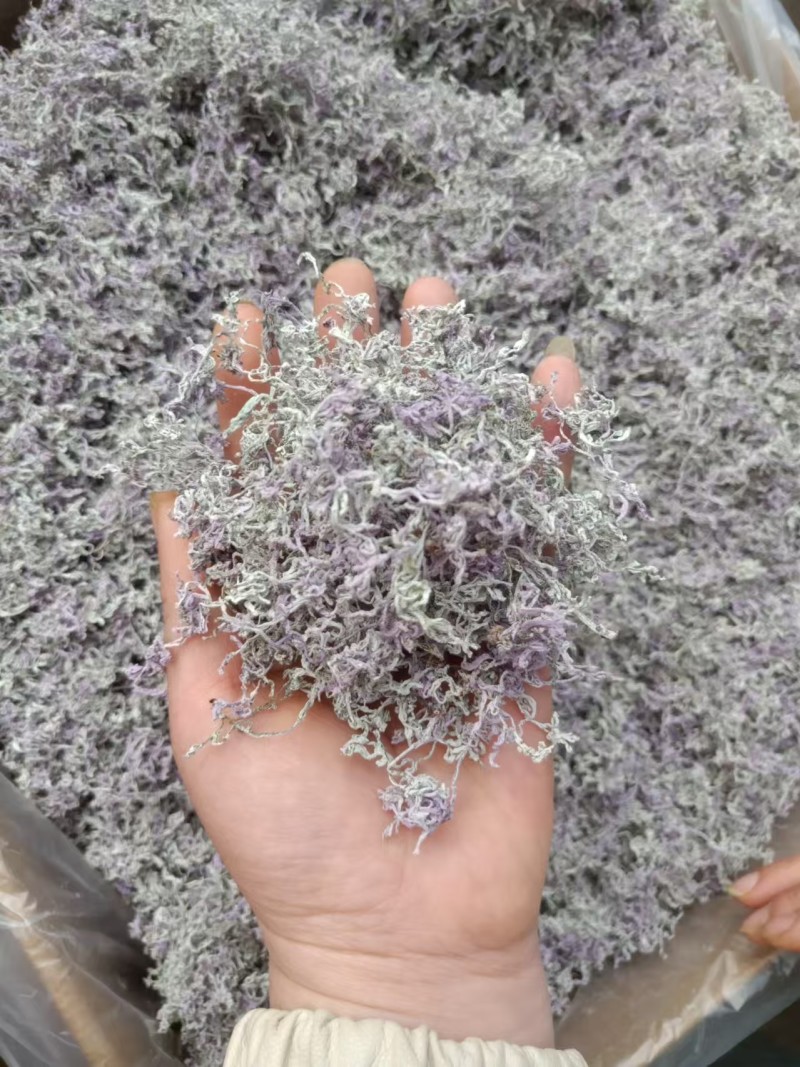 恩施高山富硒藤茶，芽朵