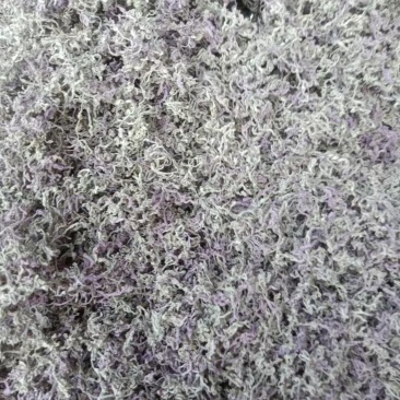 恩施高山富硒藤茶，芽朵