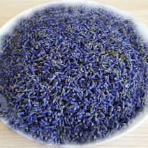 薰衣草