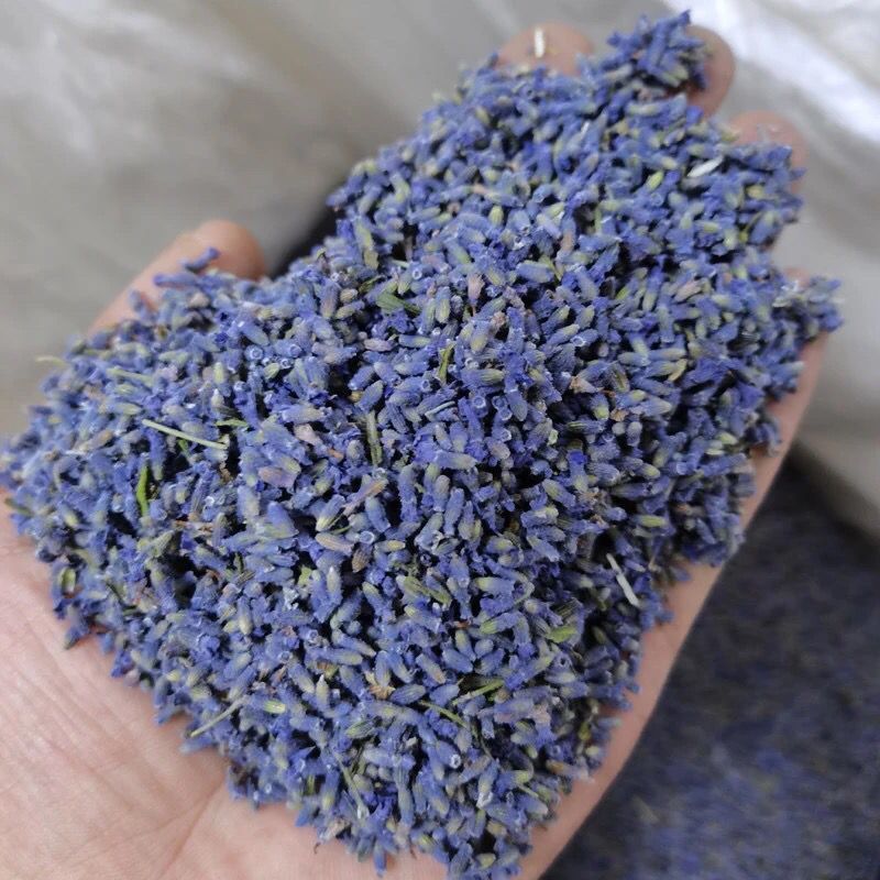 薰衣草