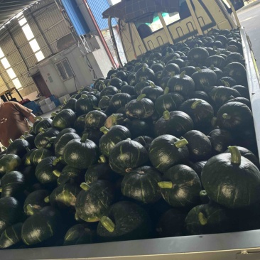 板栗南瓜品质上乘，价格优惠