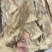甘肃本地，当归佛手片，人工精选大片，有硫和无硫，自然选择