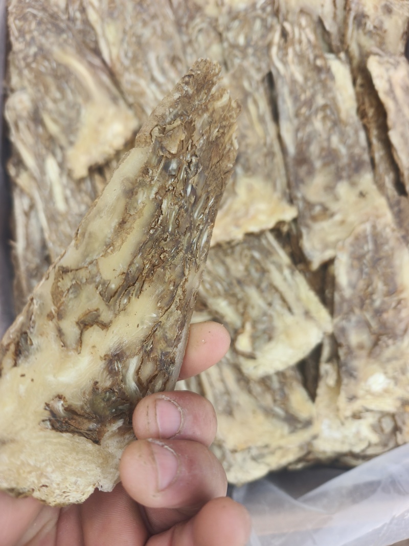 甘肃本地，当归佛手片，人工精选大片，有硫和无硫，自然选择