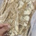 甘肃本地，当归佛手片，人工精选大片，有硫和无硫，自然选择