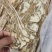 甘肃本地，当归佛手片，人工精选大片，有硫和无硫，自然选择