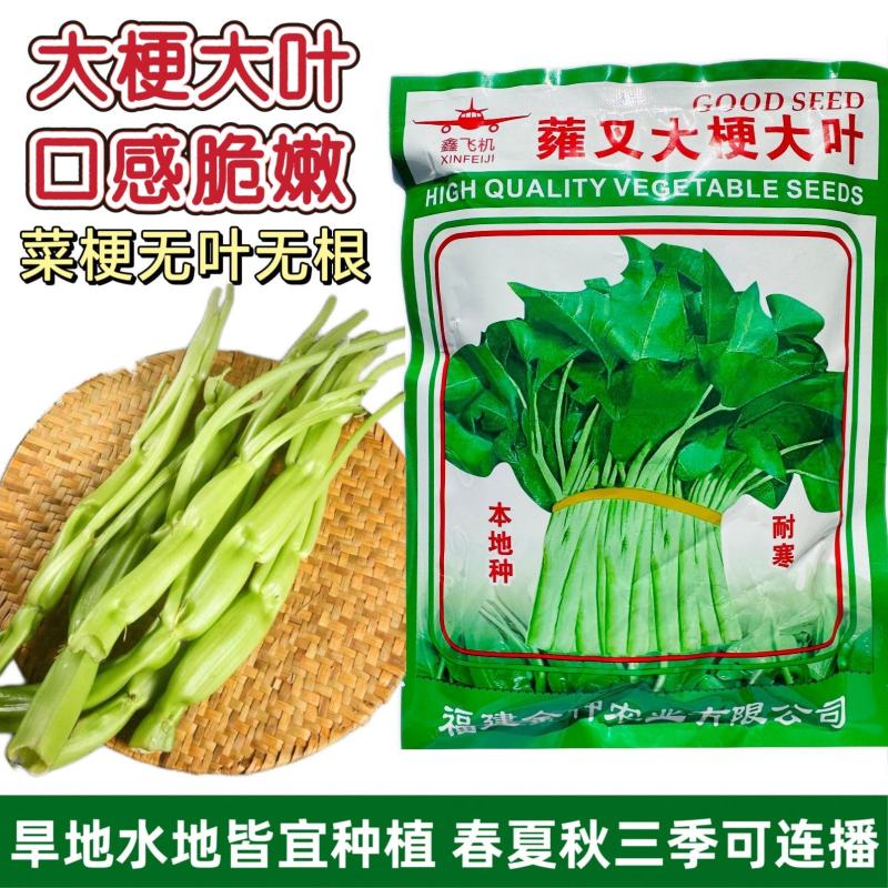 蕹叉大梗大叶空心菜种子脆嫩清甜春夏秋三季蕹菜蔬菜种子大田