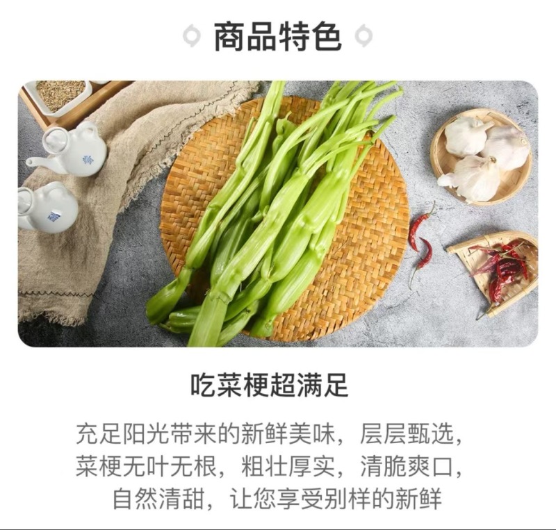 蕹叉大梗大叶空心菜种子脆嫩清甜春夏秋三季蕹菜蔬菜种子大田