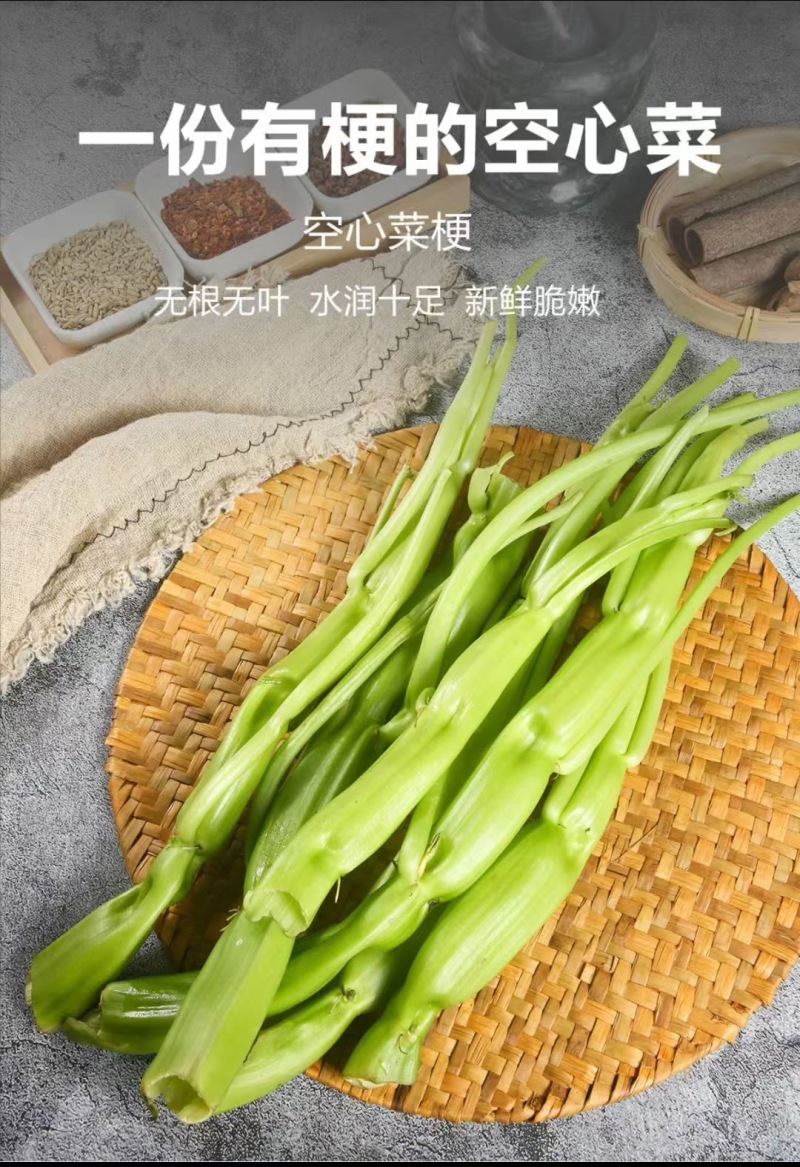 蕹叉大梗大叶空心菜种子脆嫩清甜春夏秋三季蕹菜蔬菜种子大田
