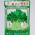 蕹叉大梗大叶空心菜种子脆嫩清甜春夏秋三季蕹菜蔬菜种子大田