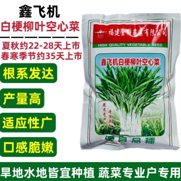 鑫飞机白梗柳叶空心菜种子脆嫩白杆空心菜通心菜蕹菜种子
