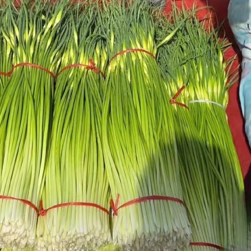 湖北嘉鱼白帽蒜苔蒜薹
