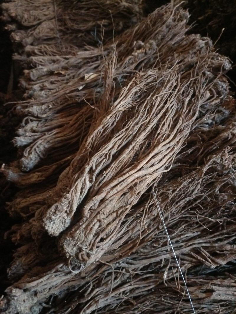 当归头片无硫，全干，货好