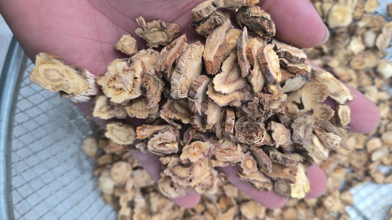 秦艽质量保证无硫假一赔十批发零售各种中药材