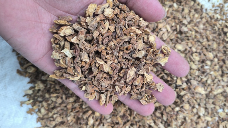 秦艽质量保证无硫假一赔十批发零售各种中药材