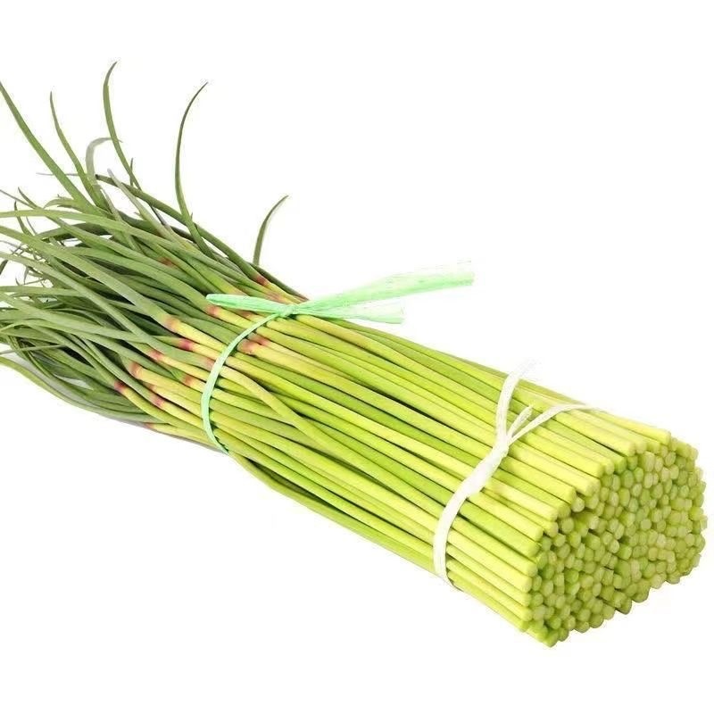 精品大量蒜薹现货，量大价优，产地直发，欢迎咨询