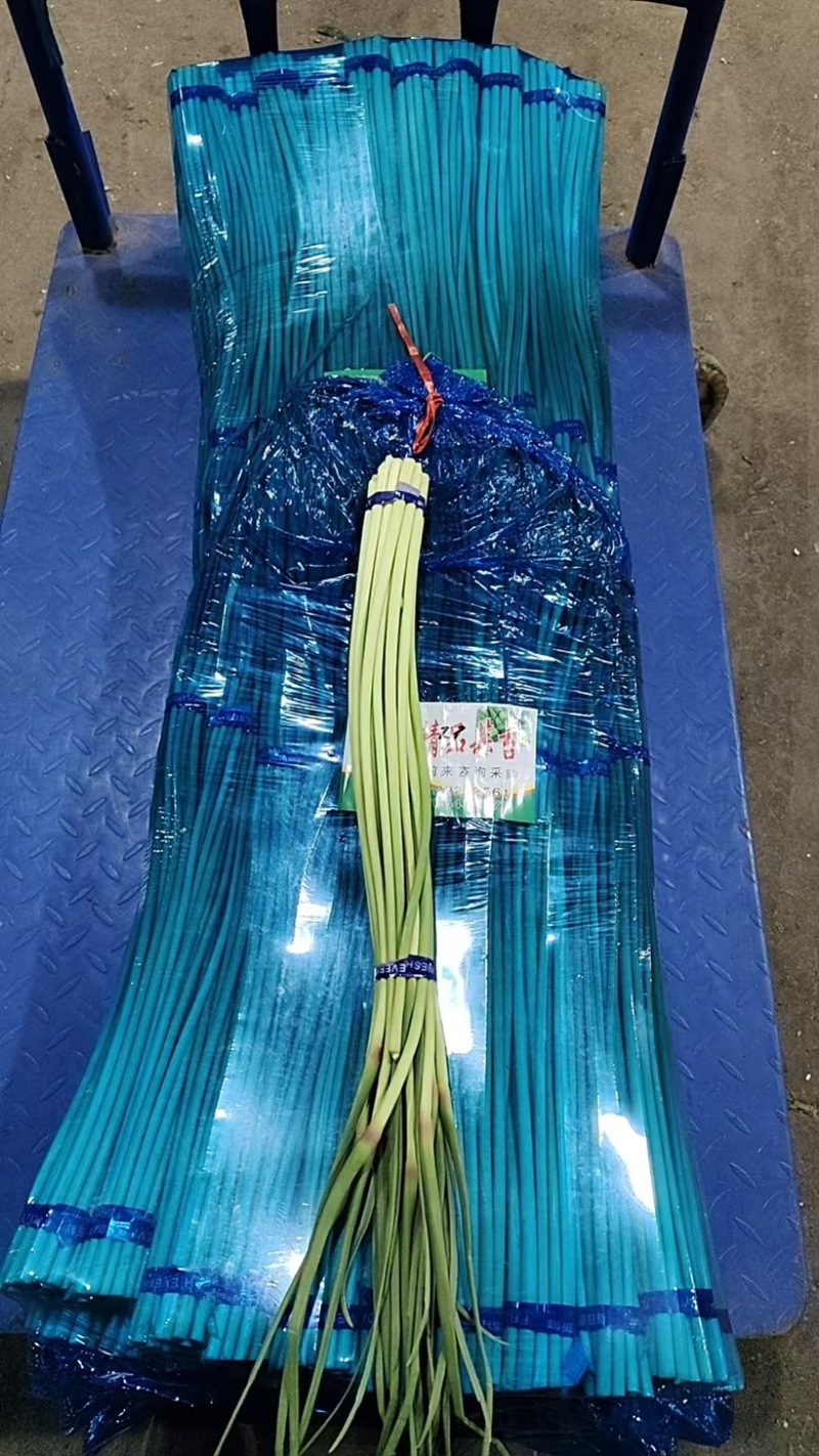 精品大量蒜薹现货，量大价优，产地直发，欢迎咨询