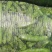 浙江新鲜蚕豆大量上市产地发货供市场电商商超等