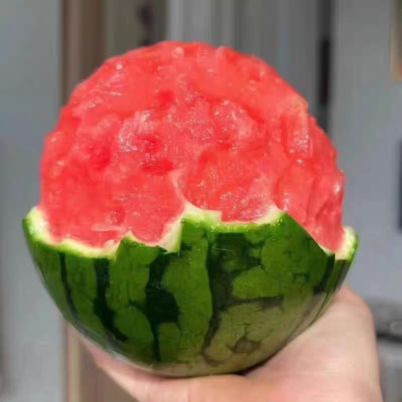 陕西蒲城938吊兰西瓜/小吊兰/吊篮西瓜/小吊瓜/小糖丸
