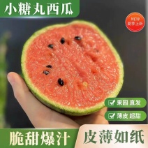 陕西蒲城938吊兰西瓜/小吊兰/吊篮西瓜/小吊瓜/小糖丸